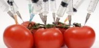 GMO