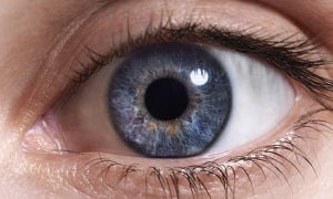 Human eye Human eye