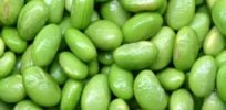 soybeans