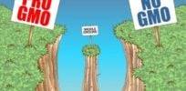 gmo signs x