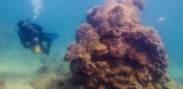 tauchen am gbr