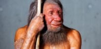 A model of a Neanderthal