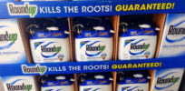 roundup display