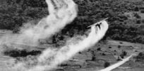 vietnam spraying chemicals ap photo