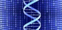 dna sequence small