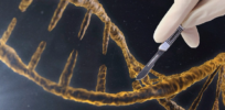 scientists in the uk could win approval to genetically modify human embryos