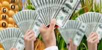 Slide GMO Sell Outs