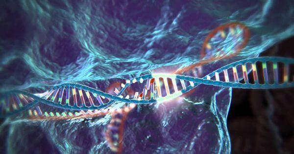 the age of gene editing everything you abc d m CRISPR-Cas9 editing a strand of DNA