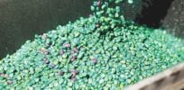 seed neonic x
