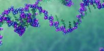 John Liebler Unwinding DNA