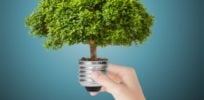 Spotlight sustainable Agriculture
