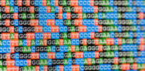 genome