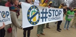 glyphosate