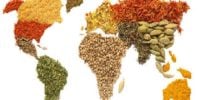 in a world made of food