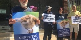 protestors
