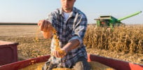 Corn Farmer