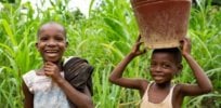 africangmo