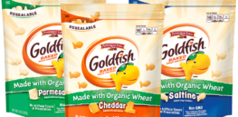 Goldfish MWOW Blog HeroImage x