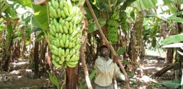 Otaniirrigations