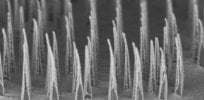 nanospearforest mid