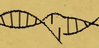 crispr cas explainer natpkg full