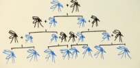 Gene Editing