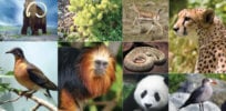 f e biodiversity