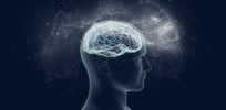 The human brain tripled in size due to ecological factors x