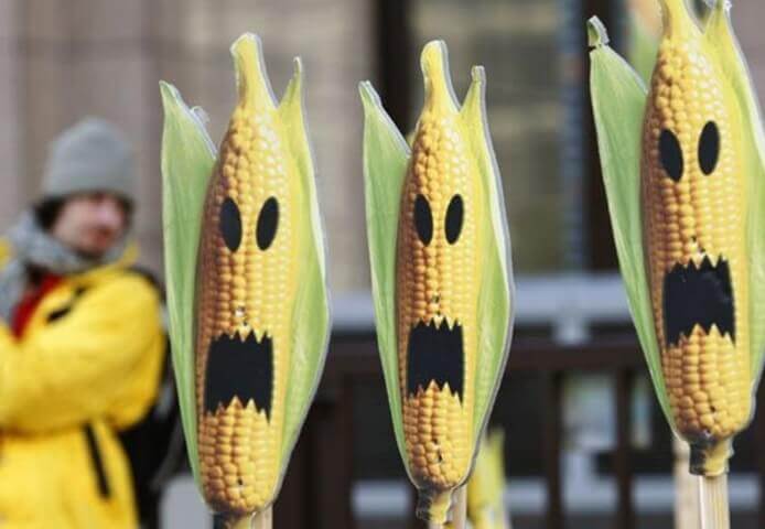 Anti GMO x minified