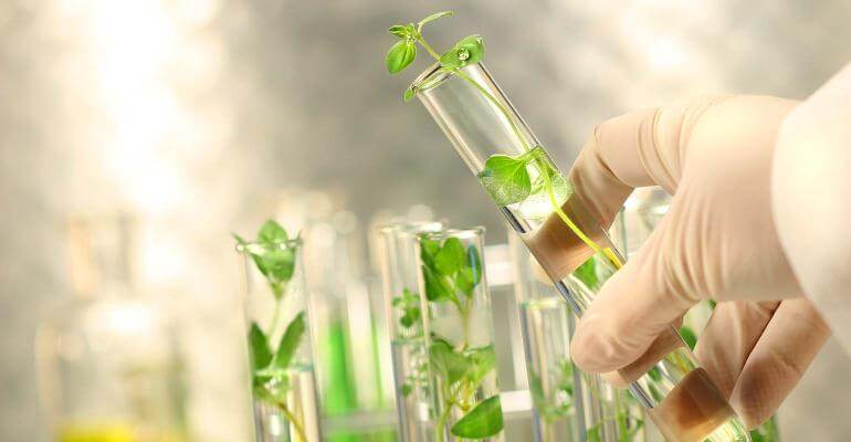 Five reasons to be optimistic about the future of genome editing - Vimarsana News