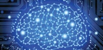 brain