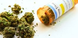 republican senator nothing to fear medical marijuana