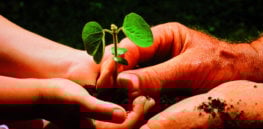 sustainfarming