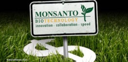 Monsanto Money Crops