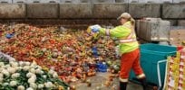 food waste
