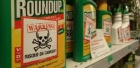 glyphosate hr