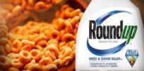roundup