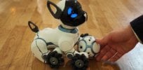 robot