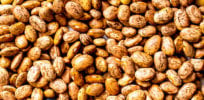 black pinto canary mexican beans