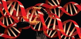 genes jpg png