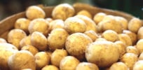 potatos