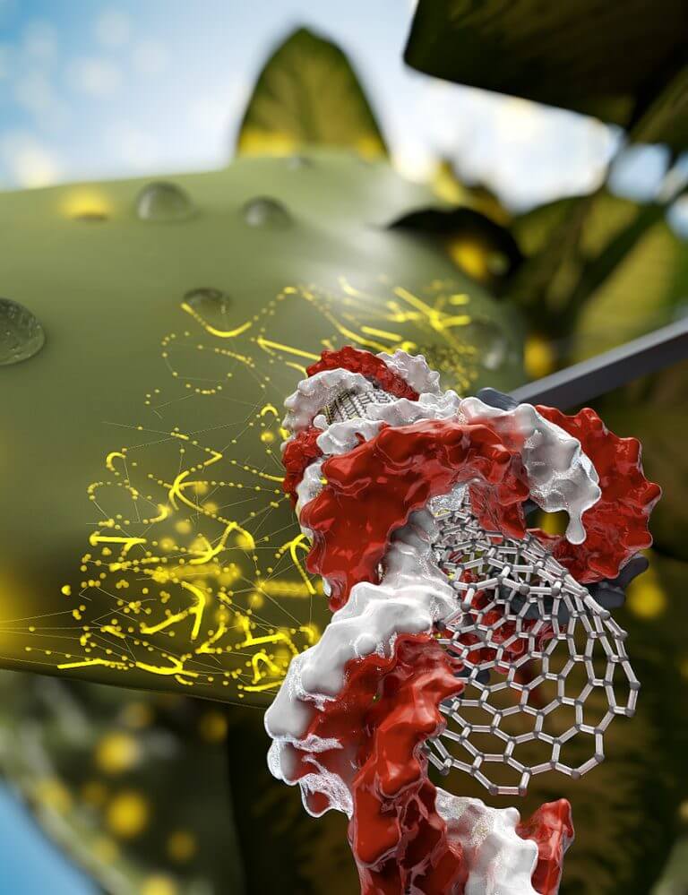 nanotubes x nanotubes x