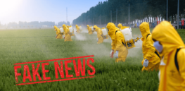 pesticides fake minified