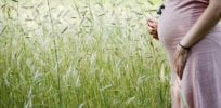 pesticides and autism