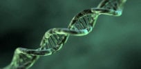 telomere