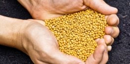 difference between slow release and controlled release fertiliser blog wide