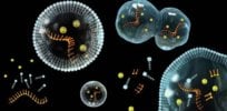 eic feature origins of life f m