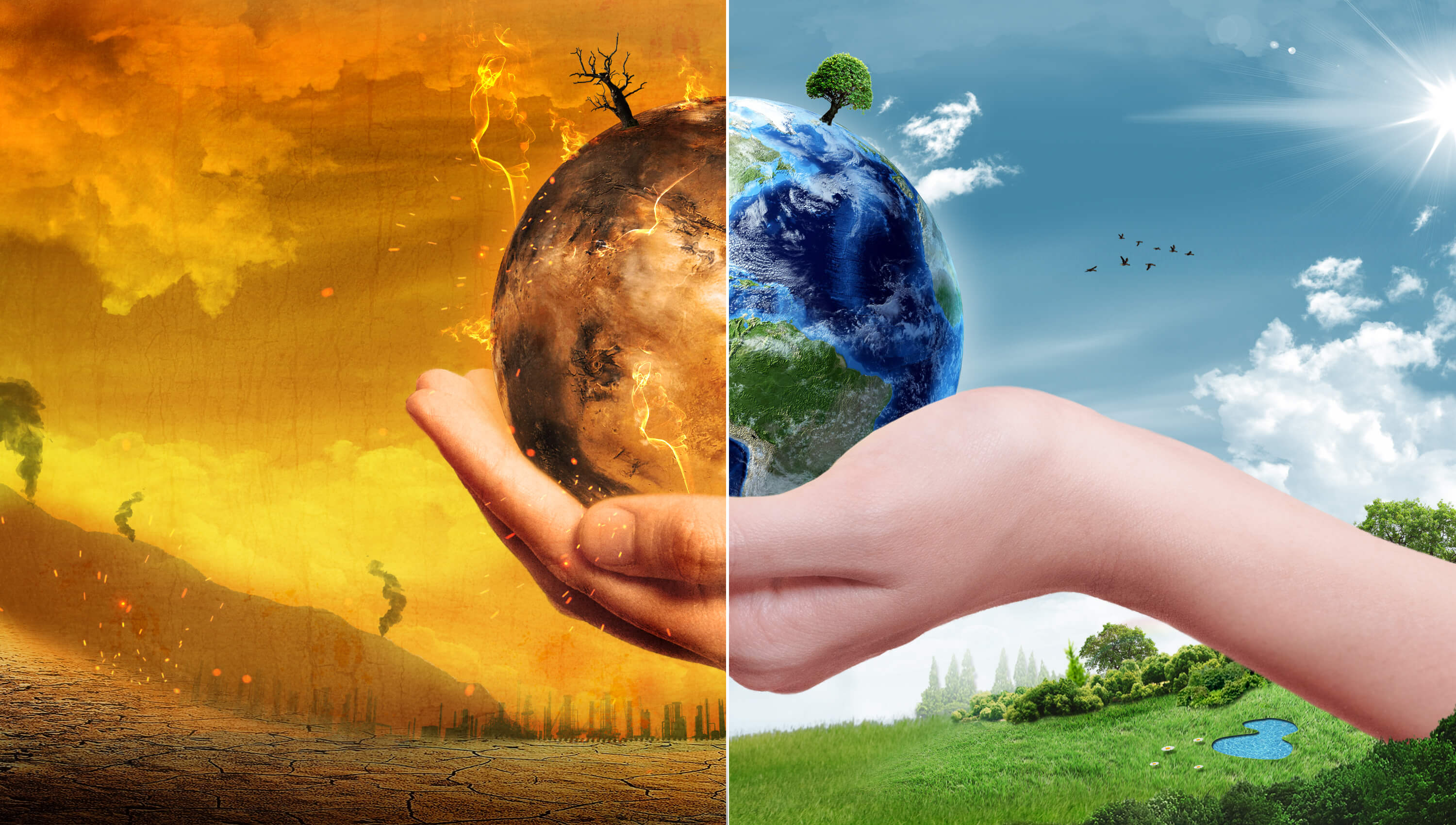 Climate change vs agriculture: Can one farming method—conventional, organic or agroecology—help slow global warming? - Genetic Literacy Project