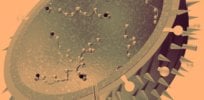 crispr could make you immune to the flu x