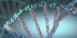 dna concept x